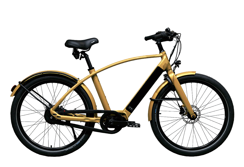 Le vélo électrique connecté, Reine Bike