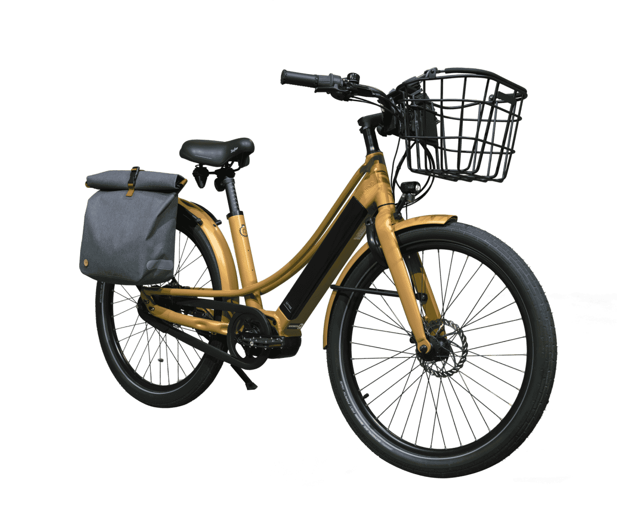 vélo électrique Reine bike avec accessoires